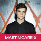 martin garrix